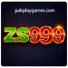 zs999-game