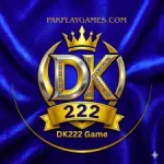 DK222 Game